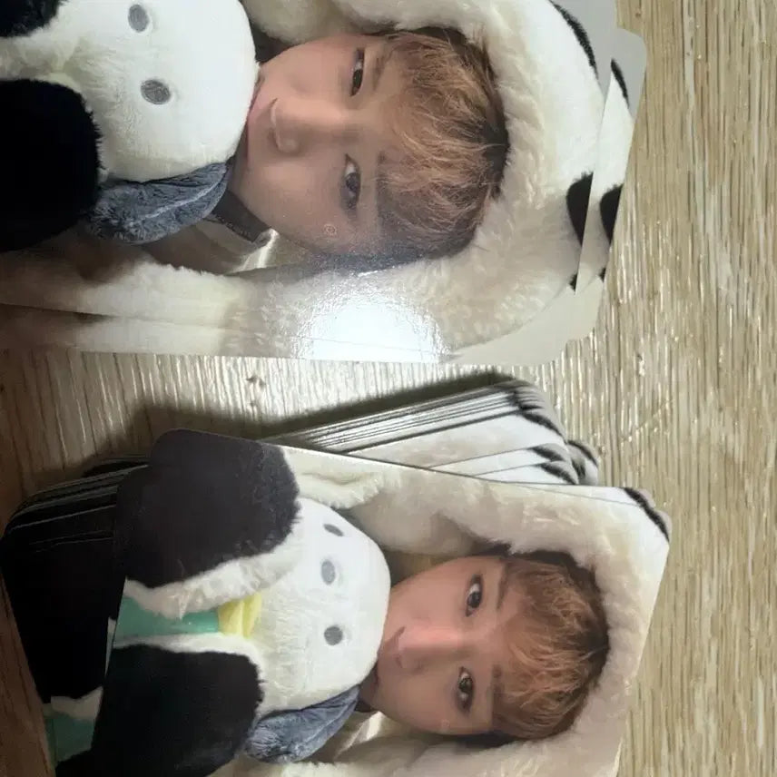 [BUNJANG] Park Ji Hoon Beat Road Album (Includes Pochacco Photocards) / 박지훈 비트로드앨범(포차코포함)