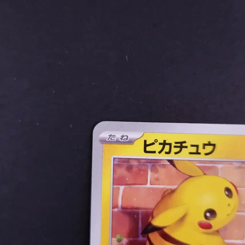 [BUNJANG] Pikachu Cyber Judge Japanese Edition Pokemon Card / 빤히 쳐다보는 피카츄 사이버 저지 포켓몬카드 일본판 일판
