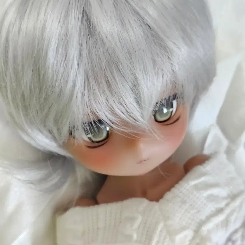 [BUNJANG] Imomodoll Anime 1/6 Scale Head + Body + Eyes / 이모모돌 이모돌 imomodoll 아니메 1/6 헤드+바디+가발