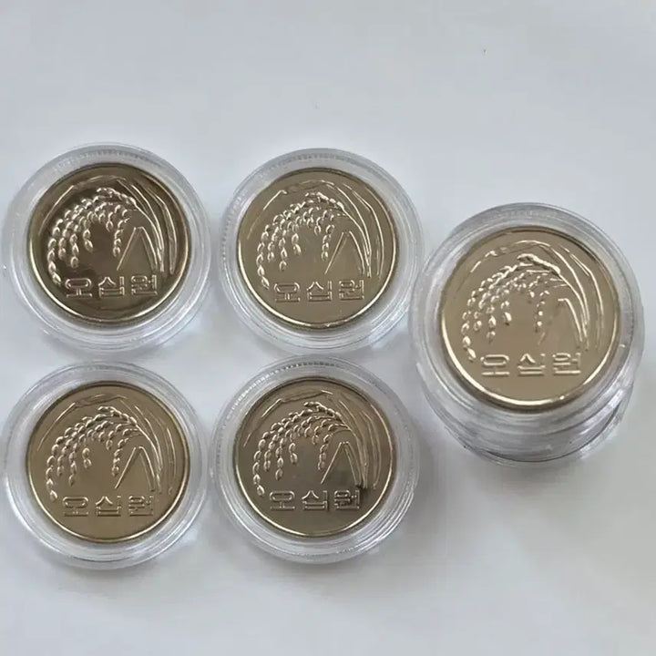[BUNJANG] 2021 50 Won Coin Unused Bundle (10 pcs) / 특년도 2021년 50원 주화 미사용 10개 일괄