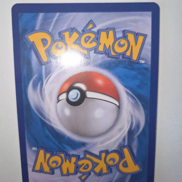 [BUNJANG] Pokemon Card Pachirisu / 포켓몬 카드 파치래곤