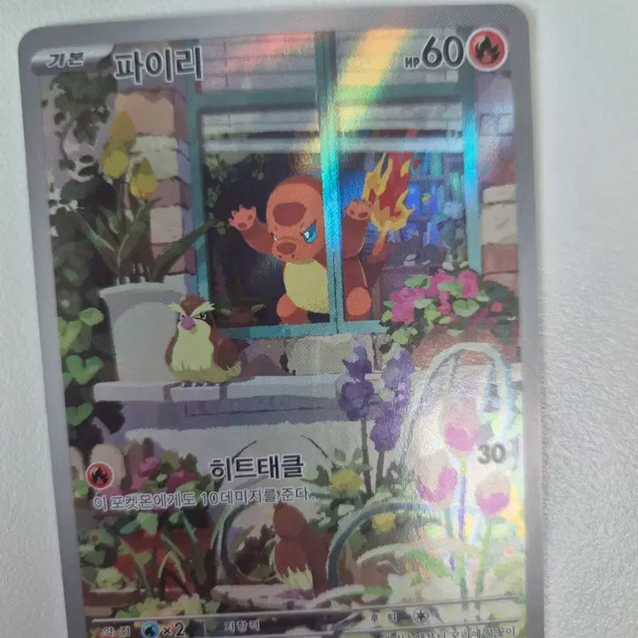[BUNJANG] Pokemon Charmander Promo Card / 포켓몬카드 파이리