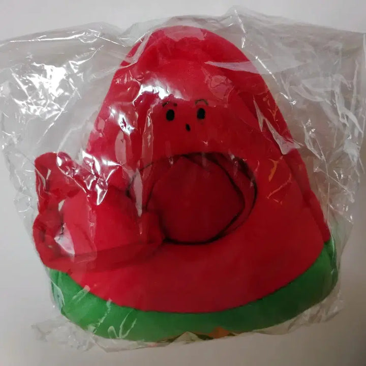 [BUNJANG] NCT Watermelon Plushie Outfit / 엔시티 수박 인형옷