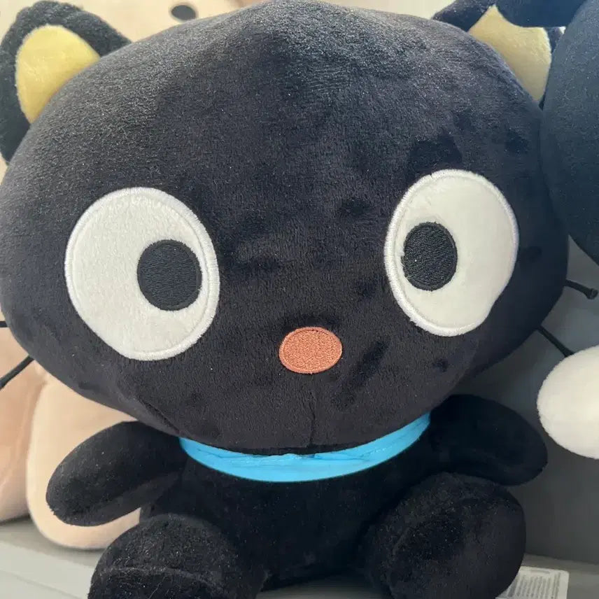 [BUNJANG] Sanrio Chococat Plush Doll / 산리오 초코캣 인형