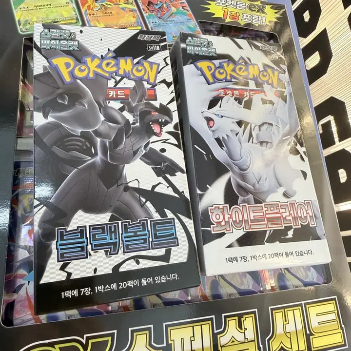 [BUNJANG] Pokemon Card Blastoise ex White Flare ex Special Set / 포켓몬 카드 블랙볼트 화이트플레어 ex 스페셜 세트