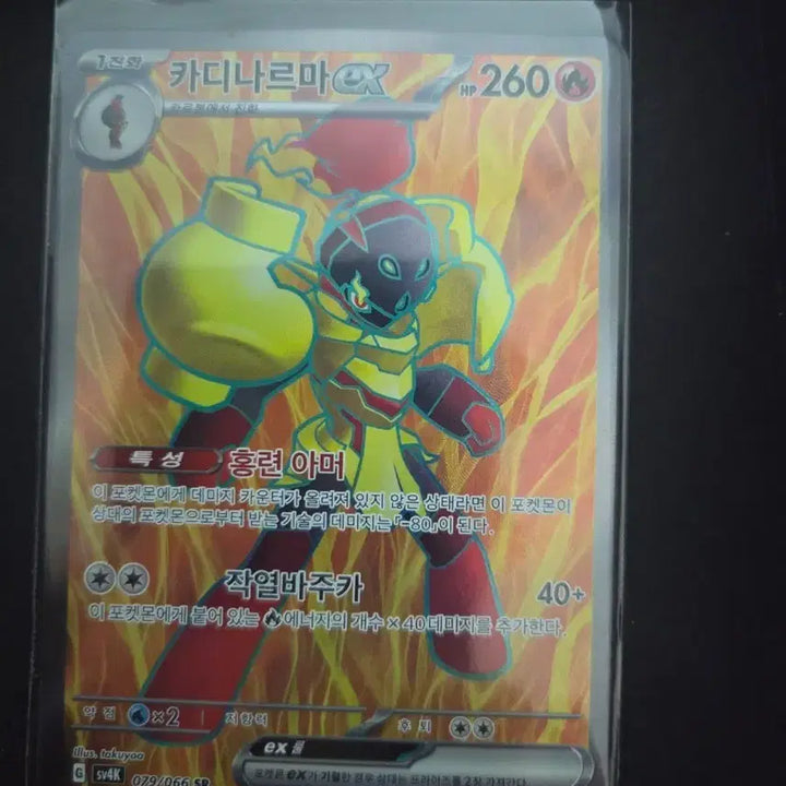 [BUNJANG] Cardinary EX 079/066 SR / 카디나르마EX 079/066 SR