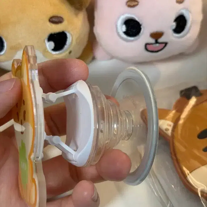[SOLD OUT] 데이식스 케 일괄