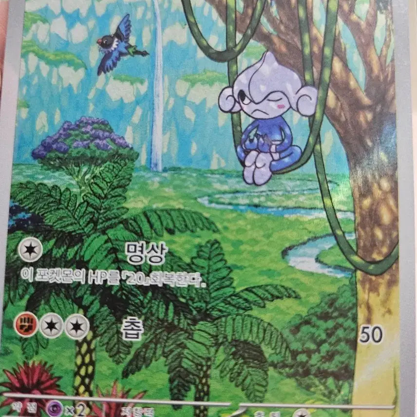 [BUNJANG] Pokemon Card Yoga Base Set / 포켓몬 카드 요가랑 기본