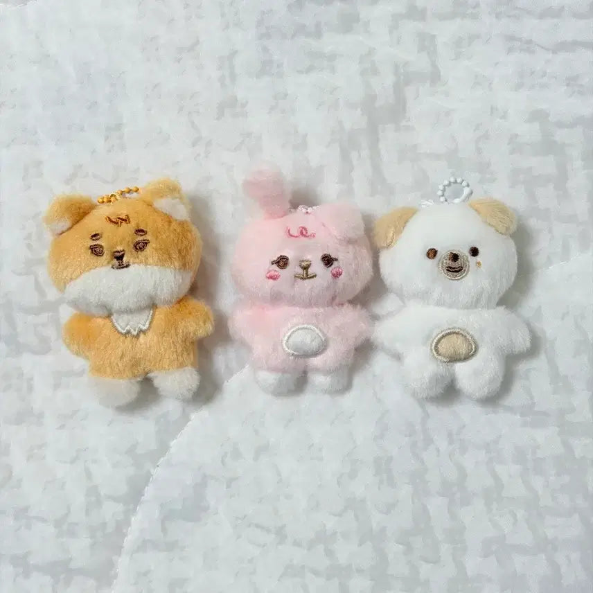 [SOLD OUT] 데이식스 쁘쁘멀 케필돈 일괄