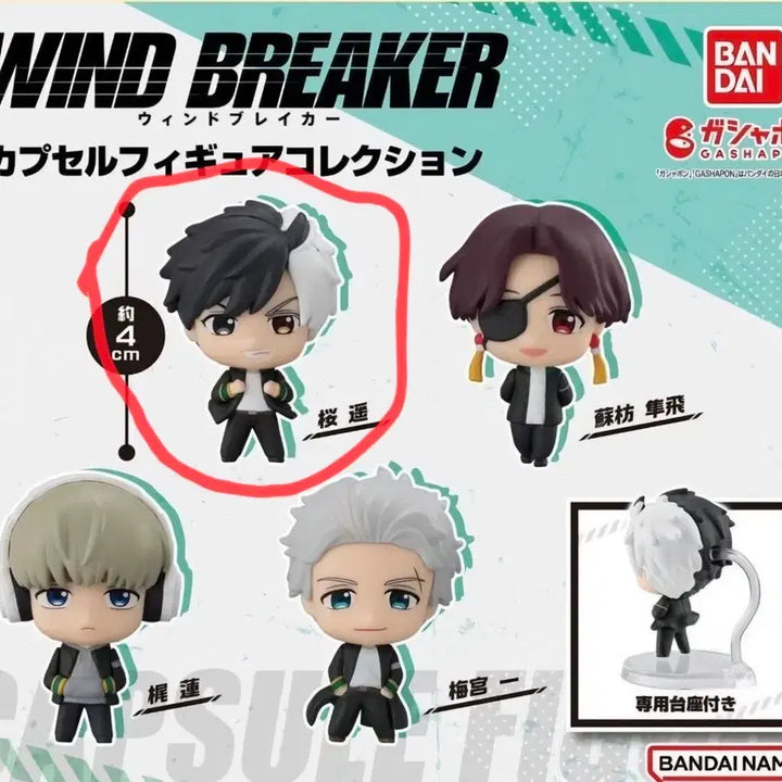 [BUNJANG] Winbreaker Capsule Gacha Sakura Figure / 윈브레 캡슐 가챠 사쿠라