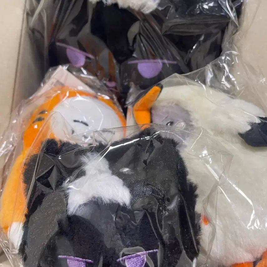 [BUNJANG] Monsta X MonmoongchiX Kitty Member Cat Version Plush Set / 몬스타엑스 몬뭉치엑스 냥균 배통이 만랭이 양도 합니다