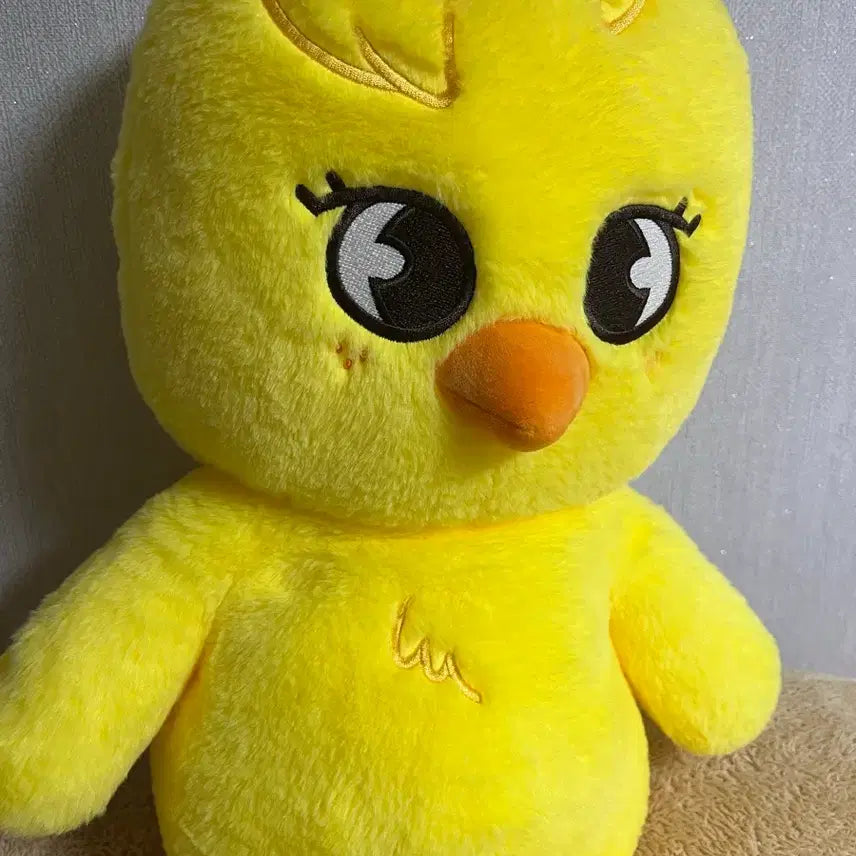 [BUNJANG] Skiju Teddy Bear / 스키주 테디베어 뽁아리 급처!!