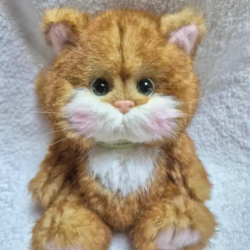 [BUNJANG] Teddy Tails Lena Cat Cheese Cat 20cm Plush Toy / (새상품)테디테일즈 레나캣 치즈고양이 s사이즈 20cm