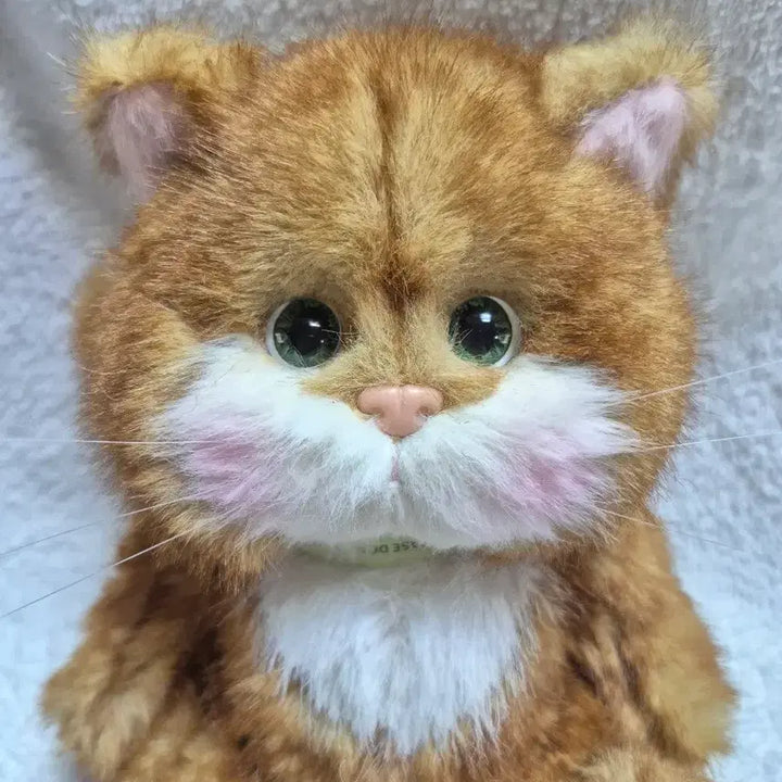 [BUNJANG] Teddy Tales RenaCat Cheese Cat 20cm Plush / (새상품)테디테일즈 레나캣 치즈고양이 s사이즈 20cm