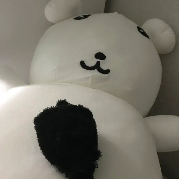 [BUNJANG] NCT WISH Yushi Wish Doll Bubble Cat Secret Black / 엔시티 위시 버블냥 유우시 위시돌 컬러돌 시크릿 블랙