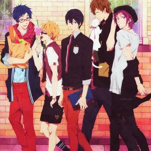 [BUNJANG] Free! Chinese Exclusive Tapestry / 내용 필독) Free! 중국한정 테피스트리