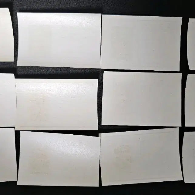 [BUNJANG] Plant Series Sheet Set (12 Types) / 식물시리즈 시트 12종