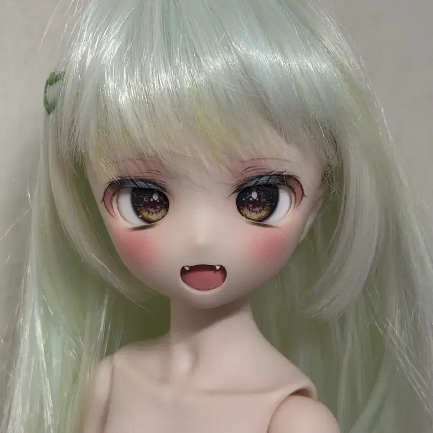 [BUNJANG] MDD Dolldoll Semihhite Head / Mdd 돌피드림 세미화이트 헤드