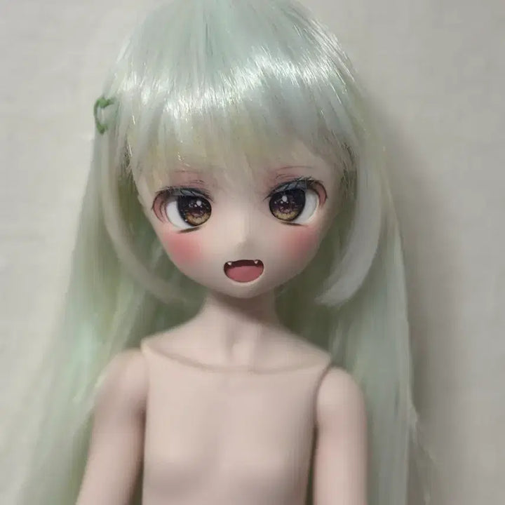 [BUNJANG] MDD Dolldoll Semihhite Head / Mdd 돌피드림 세미화이트 헤드