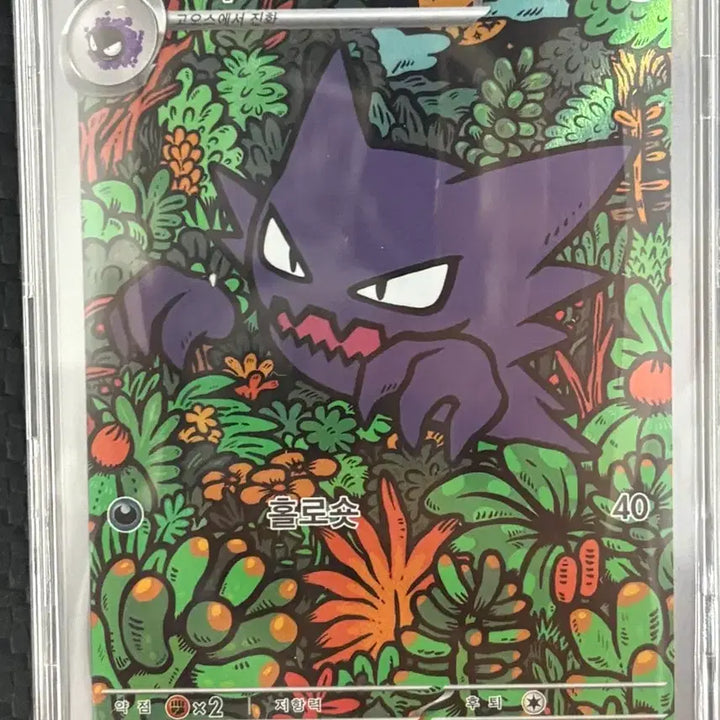 [BUNJANG] Pokemon Card Ghost Illustration Card / 포켓몬 카드 고우스트 일러스트 카드 팝니다.