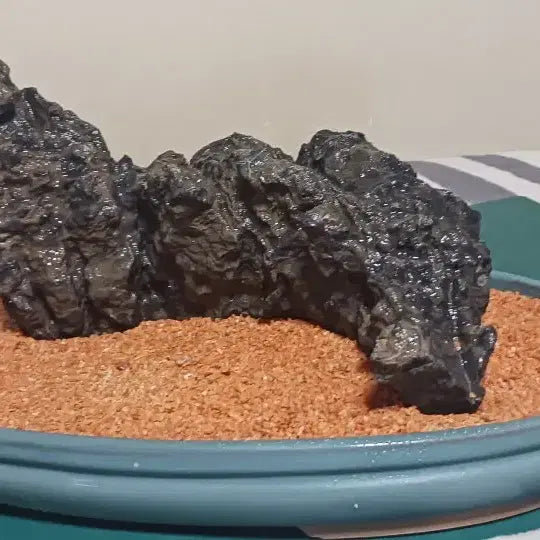 [BUNJANG] Yeongwol Stone / 수석(영월)