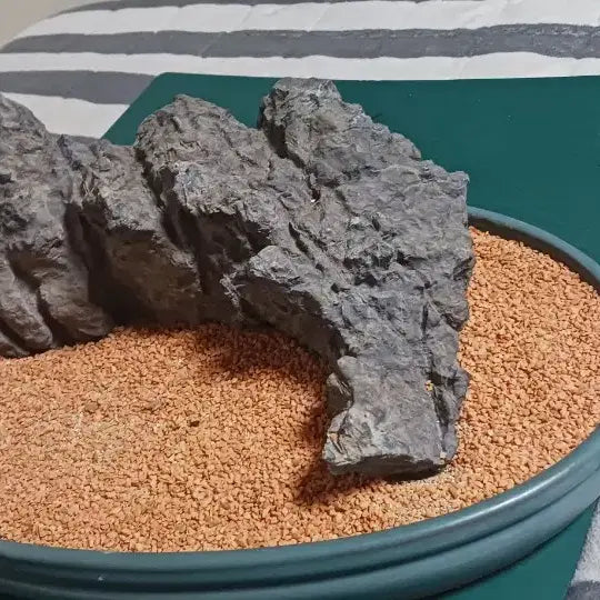 [BUNJANG] Yeongwol Stone / 수석(영월)