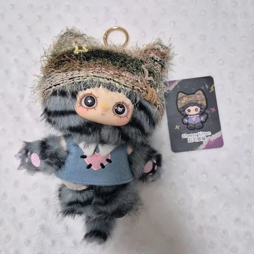 [BUNJANG] BABY3 MayMay Kitten Academy Gray Doll / 베이비쓰리 메이메이 키튼아카데미 그레이