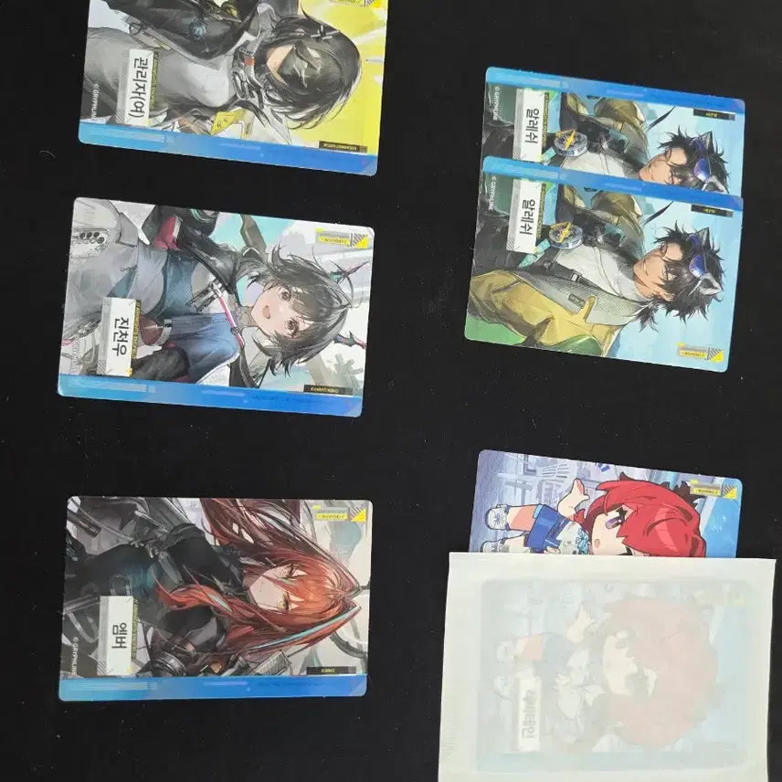 [SOLD OUT] 엔드필드 포카