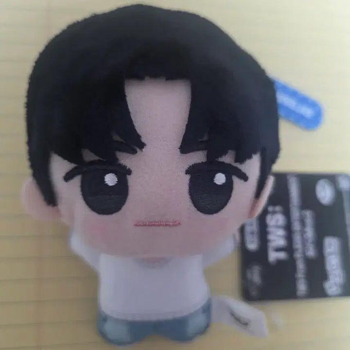 [BUNJANG] TWS Youngjae Plush Doll / TWS 투어스 영재 누이