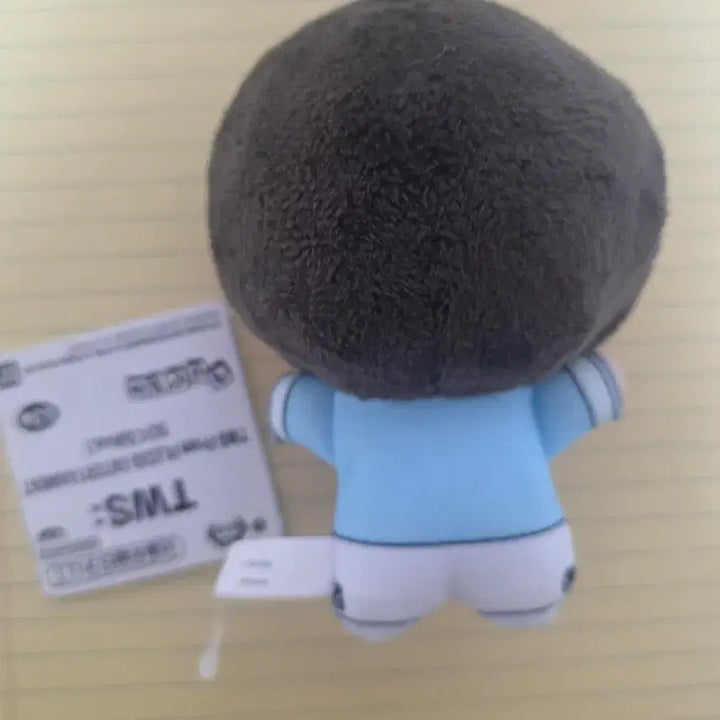 [BUNJANG] TWS Jihoon Plush Doll / TWS 투어스 지훈 누이
