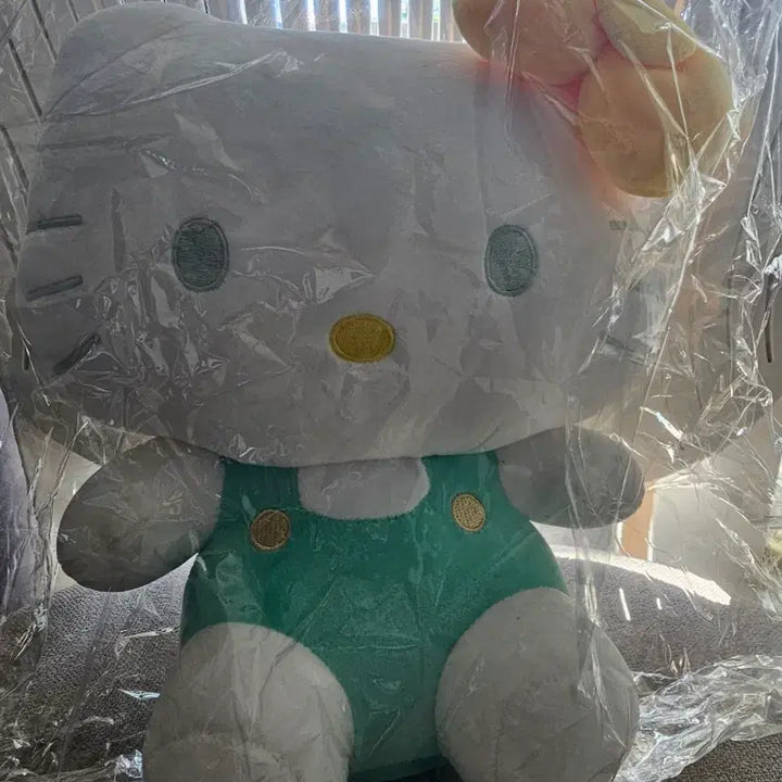[BUNJANG] Sanrio Mint Hello Kitty Plush Doll / [택달린새상푸나]산리오의 민트 헬로키티 인형