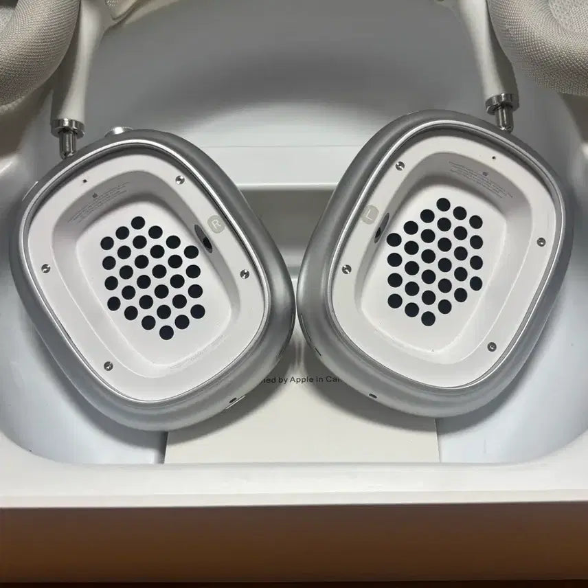 [BUNJANG] Apple AirPods Max Headphones / 차이팟 맥스