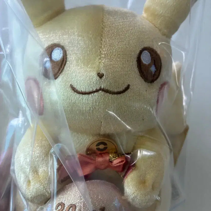 [BUNJANG] Pokemon Pikachu 30th Anniversary Keyring &amp; Plush Set / 포켓몬 피카츄 30주년 키링, 인형 세트