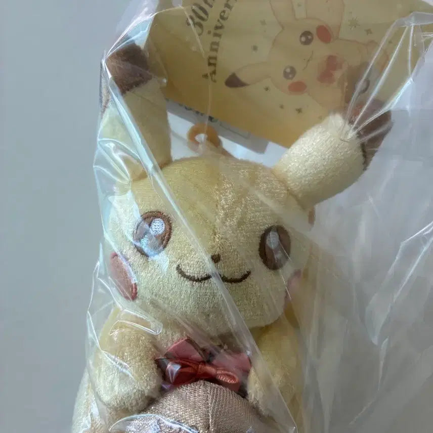 [BUNJANG] Pokemon Pikachu 30th Anniversary Keyring &amp; Plush Set / 포켓몬 피카츄 30주년 키링, 인형 세트
