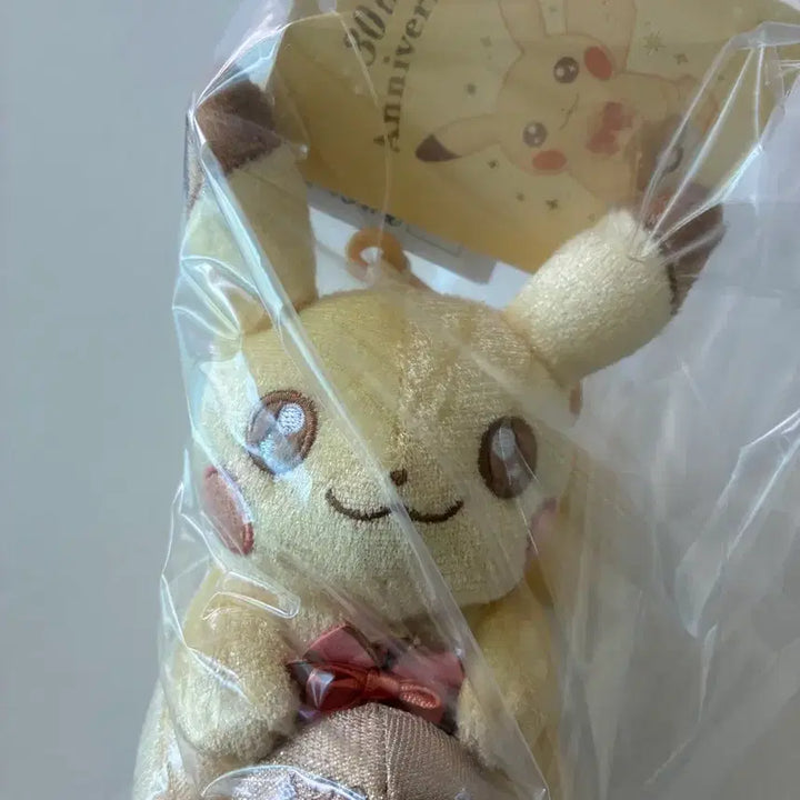 [BUNJANG] Pokemon Pikachu 30th Anniversary Keyring &amp; Plush Set / 포켓몬 피카츄 30주년 키링, 인형 세트