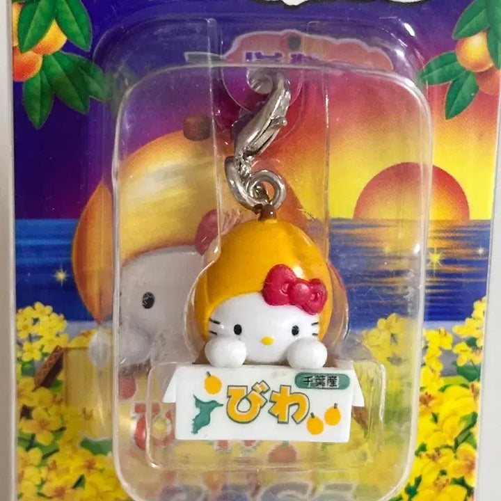 [BUNJANG] Sanrio Classic Hello Kitty 2004 Regional Limited Biwa Mango Fruit Strap / 헬로키티 고전키티 지역한정 비파 망고 과일 스트랩 박스혈