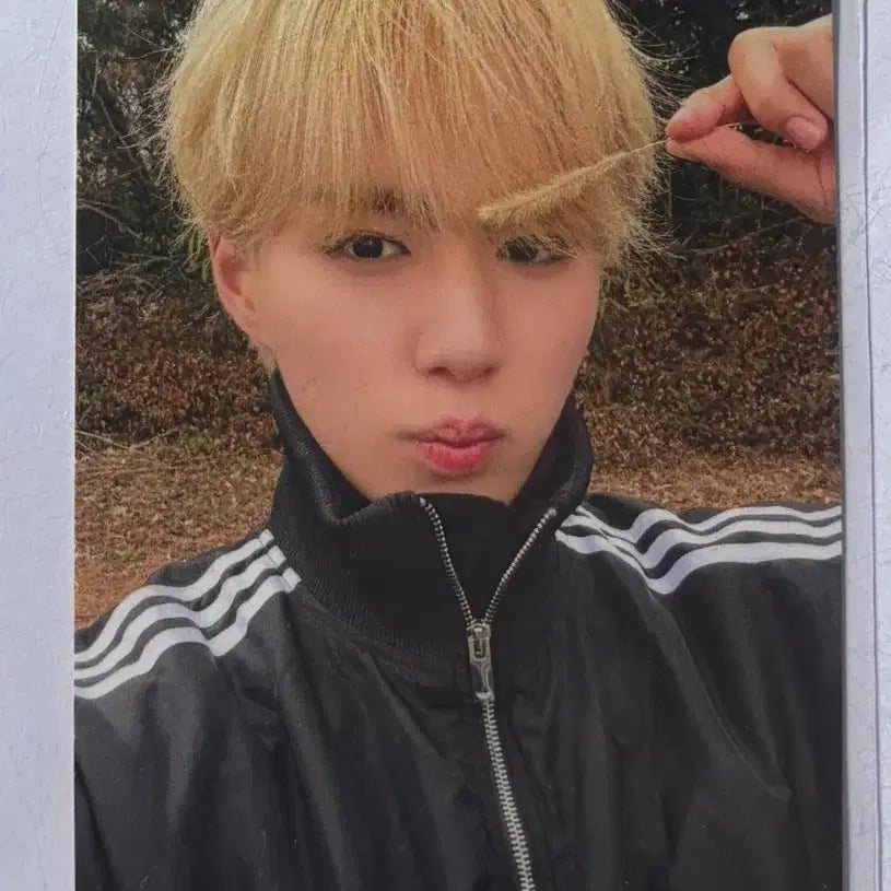 [BUNJANG] ALPHADRIVE1 Kim Junseo Photocard / 알파드라이브원 알디원 omg 공방 사녹 김준서 포카