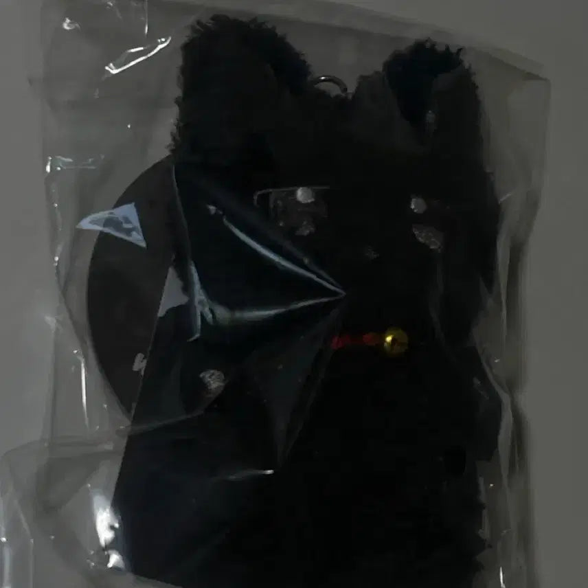 [BUNJANG] ATEEZ Aniteez Wooyongnyang Unused Keyring + Wooyong Photocard / 에이티즈 애니티즈 우요냥 미사용 키링 + 우영포카