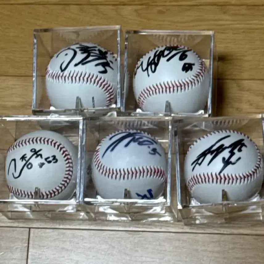 [BUNJANG] Baseball Autograph Set (6 Balls) / 구매자님거래건 멋진