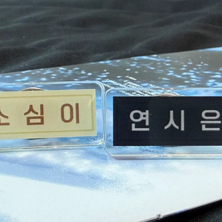 [BUNJANG] Park Jihoon (Weak Hero) Yeon Si Eun Mini Name Tag / 박지훈 소심이 약한영웅 연시은 미니 명찰