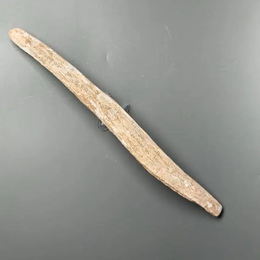 [BUNJANG] Shang Dynasty Oracle Bone Script Fragment (2) Excavated Artifact, Antique Collectible / 고대 상나라 은허 갑골문 점복각골편 (2) 출토품 골동품 수집품