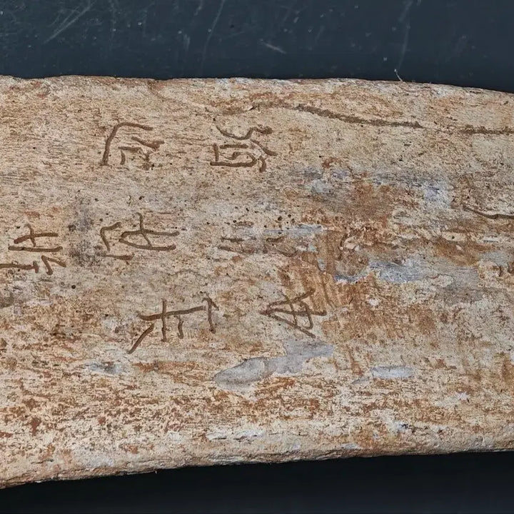 [BUNJANG] Shang Dynasty Oracle Bone Script Fragment (3) Excavated Artifact / 고대 상나라 은허 갑골문 점복각골편 (3) 출토품 골동품 수집품