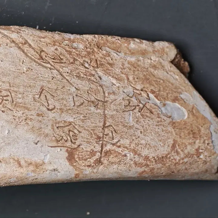 [BUNJANG] Shang Dynasty Oracle Bone Script Fragment (3) Excavated Artifact / 고대 상나라 은허 갑골문 점복각골편 (3) 출토품 골동품 수집품