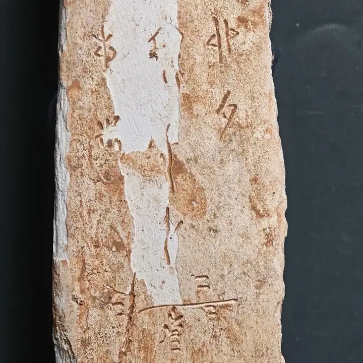 [BUNJANG] Shang Dynasty Oracle Bone Script Fragment (6) Excavated Artifact / 고대 상나라 은허 갑골문 점복각골편 (6) 출토품 골동품 수집품