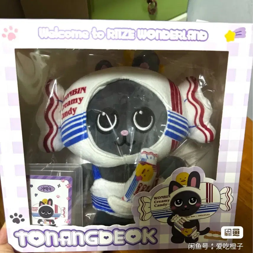 [BUNJANG] RIIZE Wonbin Doll Pre-order / 예판 라이즈 원빈 인형 박스 없음