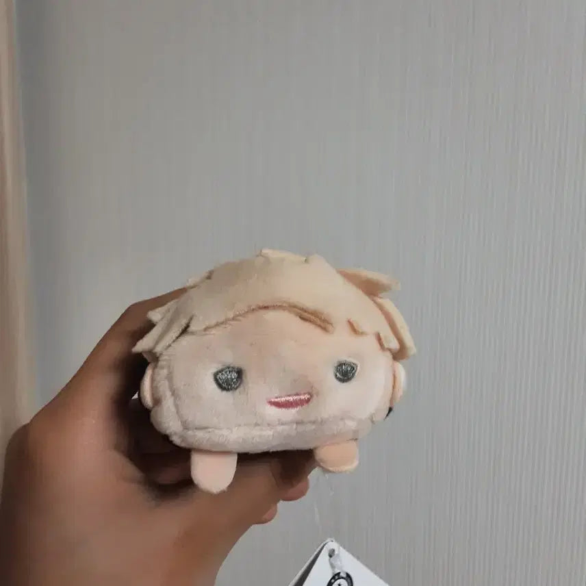 [BUNJANG] Atsumu Tsumu Tsumu / 아츠무 쯔무