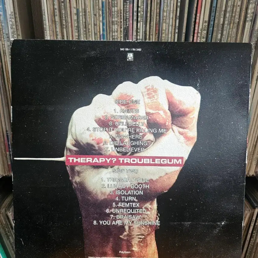 [BUNJANG] Therapy? Troublegum LP / Therapy? Troublegum LP