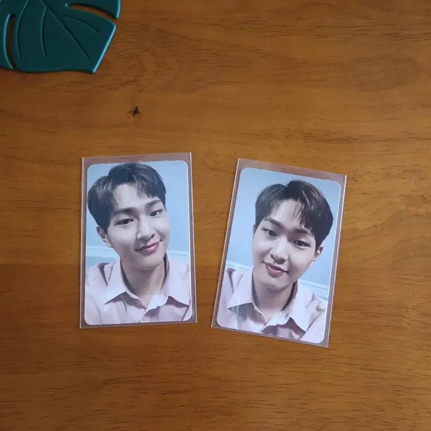 [BUNJANG] SHINee Onew VOICE Photocard / 샤이니 온유 VOICE 포카