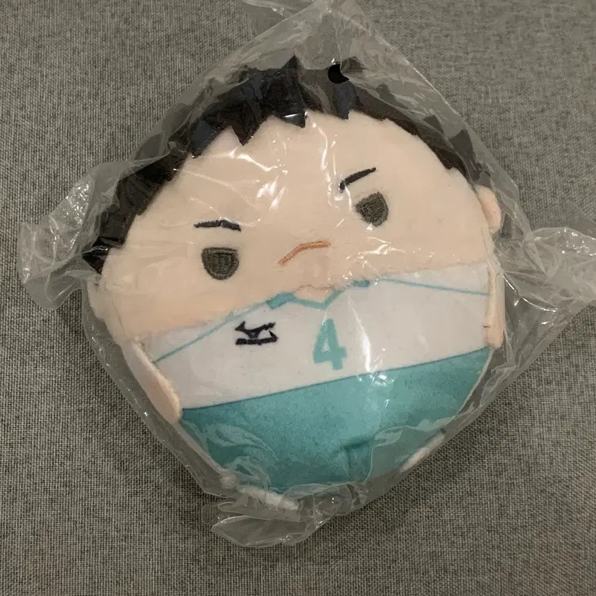 [BUNJANG] Haikyuu!! Hajime Iwazumi Fuwakororing Vol. 4 / 하이큐 이와이즈미 후와코로링