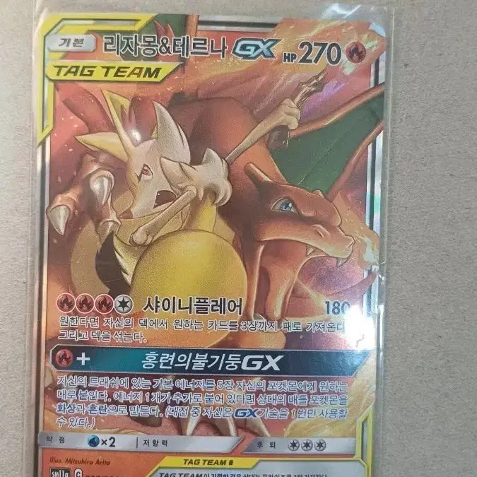 [BUNJANG] Charizard &amp; Terta Card / 리자몽&amp;테르나